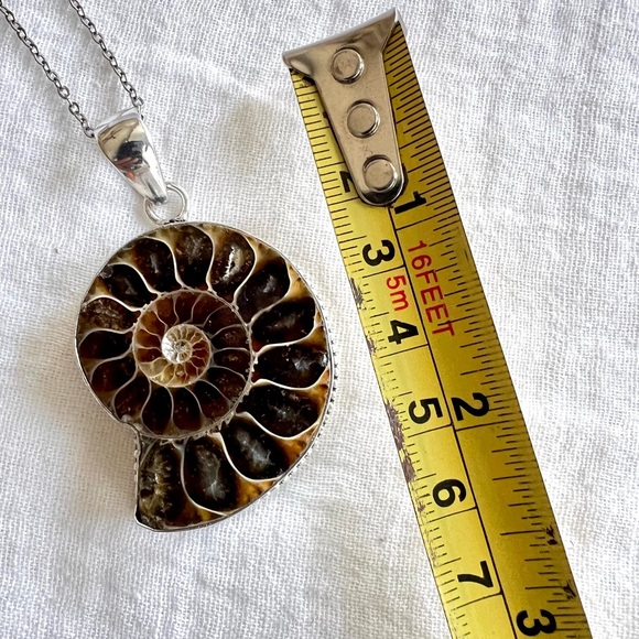 Elegant Silver Ammonite Pendant Necklace - Picture 3 of 6